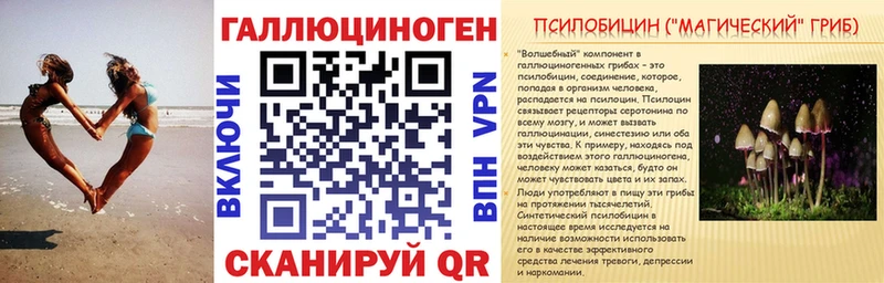 Псилоцибиновые грибы Psilocybe  Купить где  Оренбург 